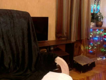 NormaGin webcam model stream image