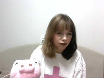 SnowHab webcam model stream image