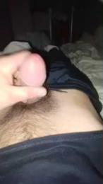 bongars21 webcam model stream image