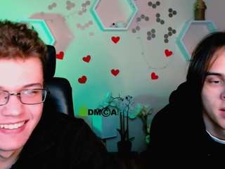 karl-mans webcam model stream image