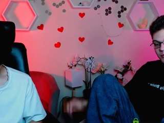 karl-mans webcam model stream image