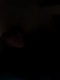 bogland33 webcam model stream image