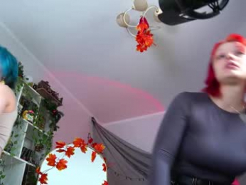 fox_and_dog webcam model stream image