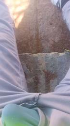 l34nfun webcam model stream image