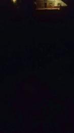 l34nfun webcam model stream image