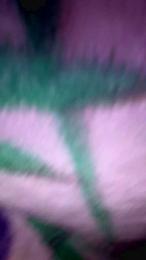 vulma4 webcam model stream image