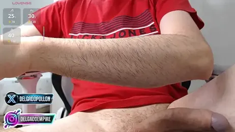 delgadopollon1991 webcam model stream image
