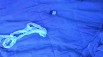 pnpshortyxxx webcam model stream image