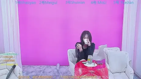 YY2222 webcam model stream image