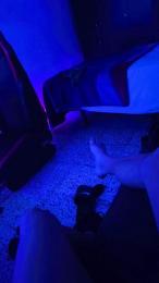 ruben2415 webcam model stream image