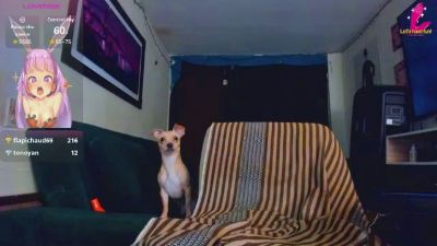 erotic_ashlee webcam model stream image