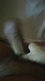 Davideasso3 webcam model stream image