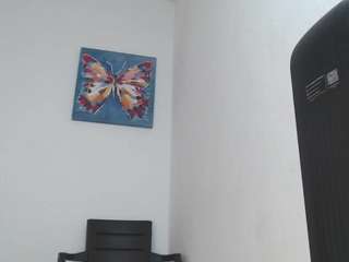reichell-schmit webcam model stream image