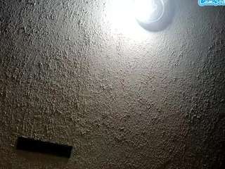 palelaram webcam model stream image