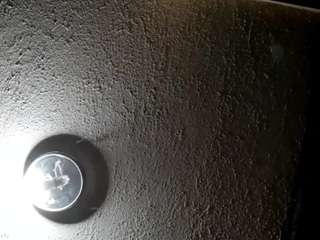 palelaram webcam model stream image