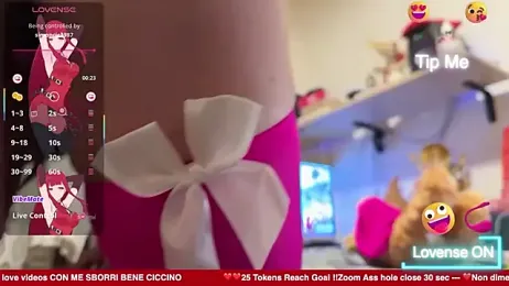 GayFigo19Stup webcam model stream image