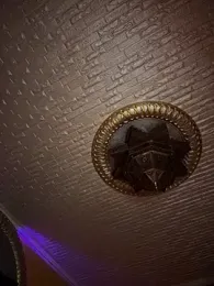 ORLA86 webcam model stream image