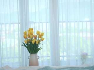 lolaspais webcam model stream image