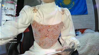 HanBirkey webcam model stream image