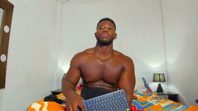 Max_flex webcam model stream image