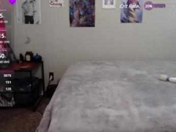 winterstorm_ webcam model stream image