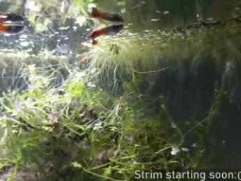 booker_baxton webcam model stream image