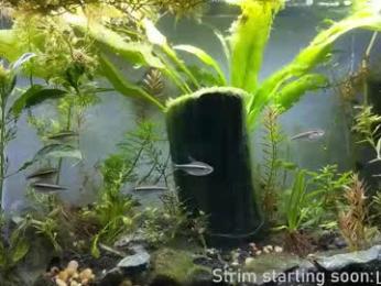 booker_baxton webcam model stream image