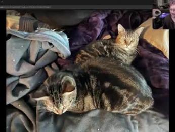 booker_baxton webcam model stream image