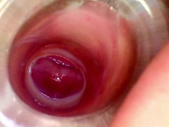 Shannon-kane webcam model stream image