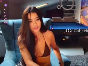shachatte webcam model stream image
