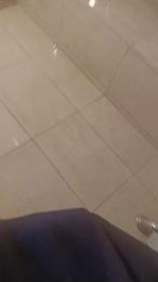 kvst5 webcam model stream image