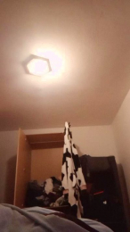 Alan6914 webcam cam4 model stream image