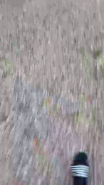 Petitebombe34 webcam model stream image