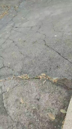 Petitebombe34 webcam model stream image