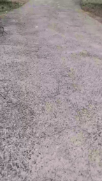 Petitebombe34 webcam model stream image