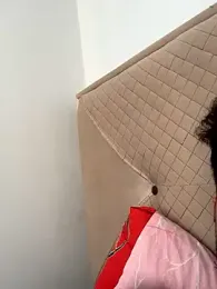 Alppo webcam model stream image