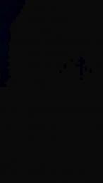 fuze3 webcam model stream image