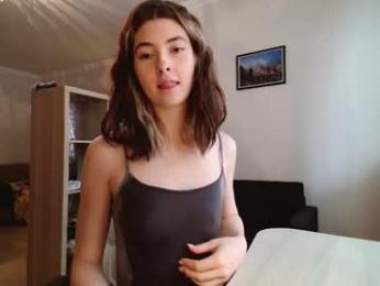 dremazwahlen webcam model stream image