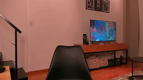 Mira_Lite webcam model stream image