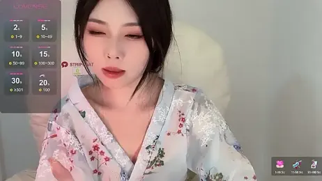 Q-ing webcam model stream image