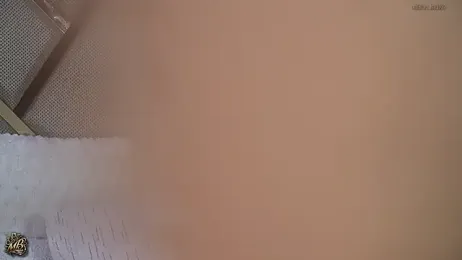 Mishelle-Brizo webcam model stream image