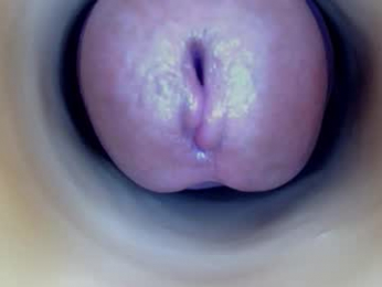 paulainoscente webcam model stream image
