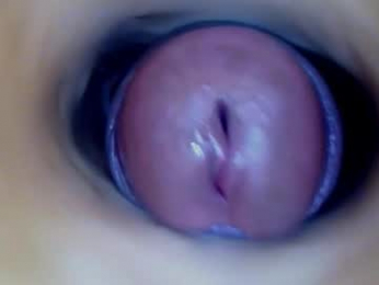 paulainoscente webcam model stream image