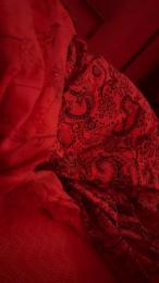 Denyma webcam model stream image