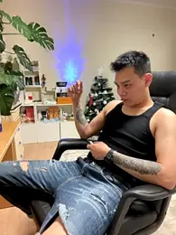 latava webcam model stream image