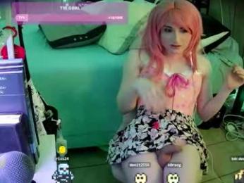 dvadaisy webcam model stream image