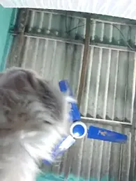 hotbaby_5 webcam model stream image