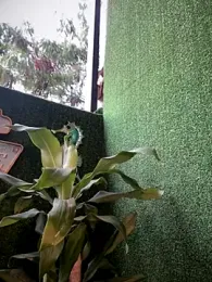 DemiSins webcam model stream image