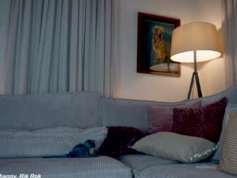x_lily_x webcam model stream image