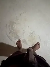 Bengali_BULL1 webcam model stream image